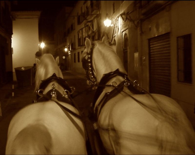 Murciélago Incompetencia Ventana mundial Ruta de las tabernas a caballo – Valle Guadalquivir